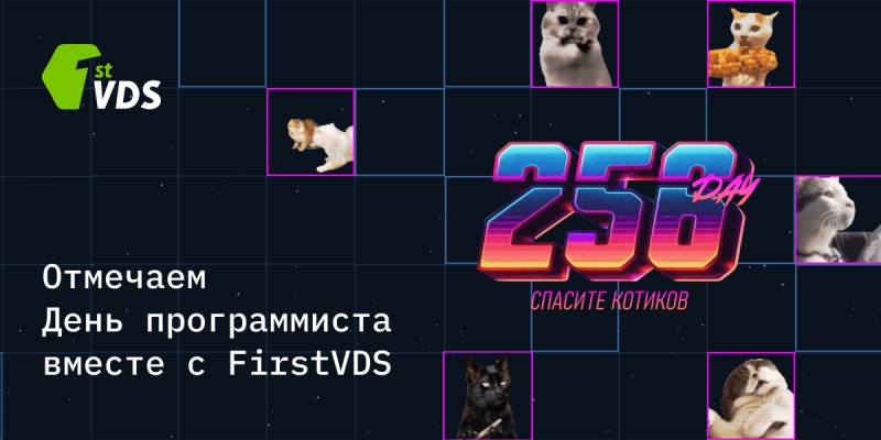 256 DAY: спасите котиков &mdash;&nbsp;акция в честь Дня программистов от хостинг-провайдера FirstVDS