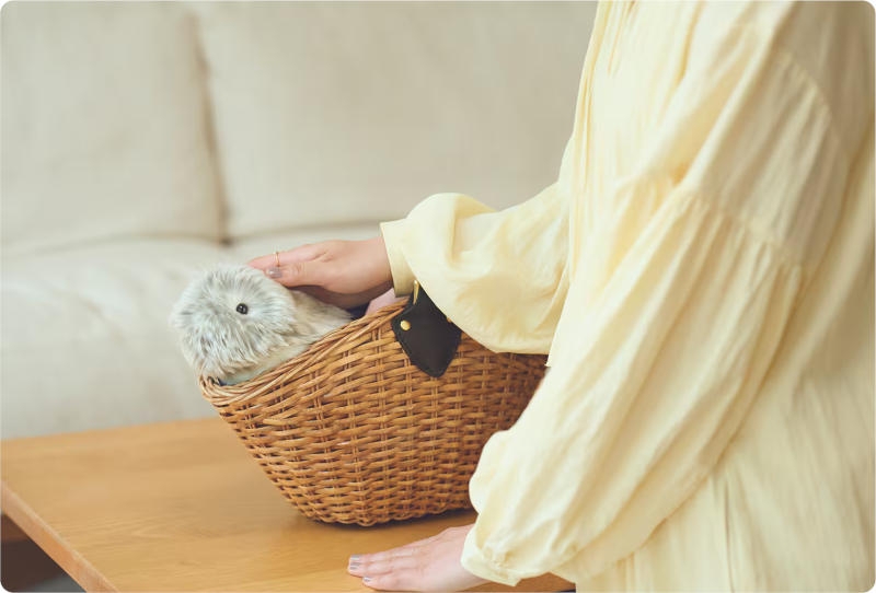 Casio представила пушистого робота Moflin &mdash; он поможет побороть стресс за $400