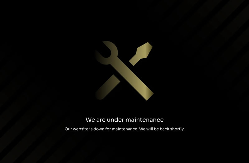 Сайт криптопроекта Трампа на старте не выдержал нагрузки &mdash; многие инвесторы не смогли купить токен WLFI