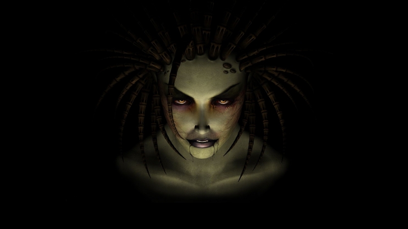 Blizzard готовит шутер с открытым миром &mdash; фанаты StarCraft напряглись