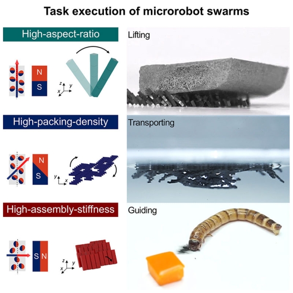 Корейцы заставили рой микроботов таскать гусеницу за хвост, плавать и&nbsp;поднимать грузы