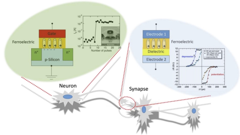 Нейроморфные вычислители &laquo;в металле&raquo;: приземление интеллекта