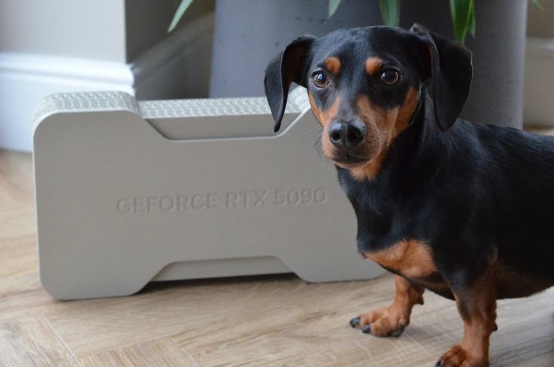 Опубликованы распаковки GeForce RTX 5090 Founders Edition&nbsp;&mdash; компактная видеокарта в экологичной коробке