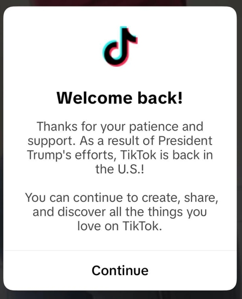 TikTok возобновил работу в США&nbsp;&mdash; стараньями Трампа блокировка продержалась меньше суток