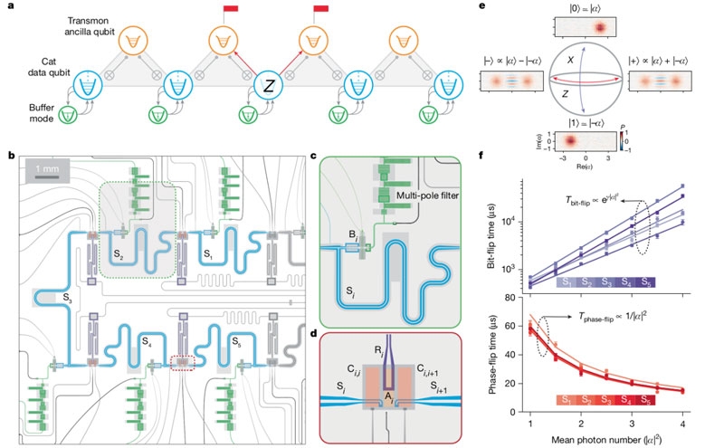 Amazon представила квантовый процессор Ocelot, в котором решила одну из главных проблем квантовых вычислений