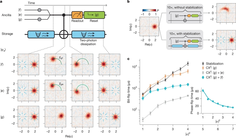 Amazon собрала квантовый компьютер на кошачьих кубитах &mdash; его ошибки исправляют &laquo;кошки Шрёдингера&raquo;