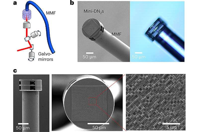 Китайцы встроили оптическую нейронную сеть в торец оптоволокна &mdash; это подтолкнёт развитие квантовой связи, медицины и не только