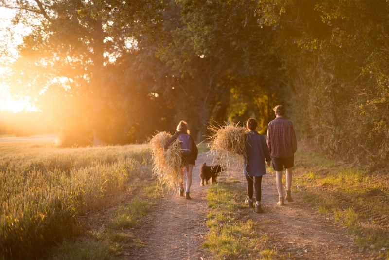 Leica перевыпустила представленный в 1959 году объектив Summilux 50 мм f/1.4 за&nbsp;$3895