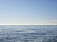 Обзор смартфона Samsung Galaxy S25: умники и умницы