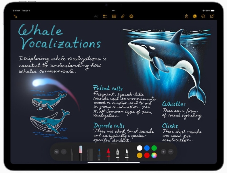 Apple представила обновлённый и &laquo;идеально сбалансированный&raquo; планшет iPad Air на базе чипа M3