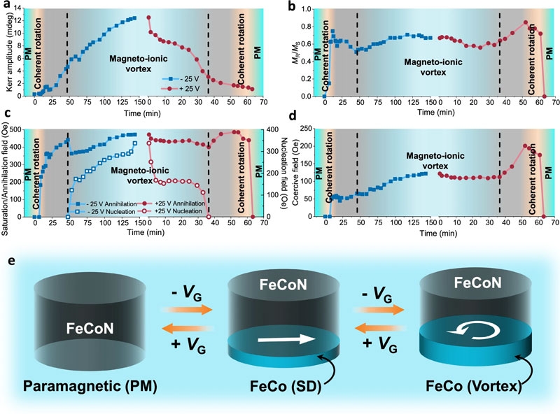 Учёные создали память завтрашнего дня &mdash; на магнитных вихрях с имитацией синапсов мозга