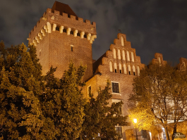 Обзор Nothing Phone (3a) Pro: самый нескучный смартфон 2025 года