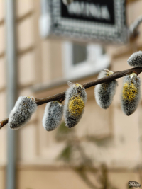 Обзор Nothing Phone (3a) Pro: самый нескучный смартфон 2025 года