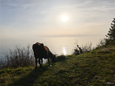 Обзор смартфона Xiaomi 15: горячая штучка