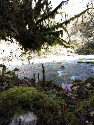 Обзор смартфона Xiaomi 15: горячая штучка