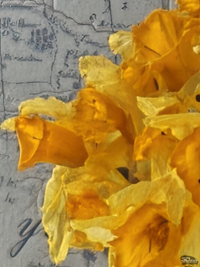 Обзор смартфона Xiaomi 15: горячая штучка