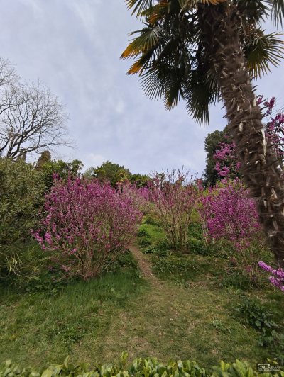 Обзор смартфона Xiaomi 15: горячая штучка