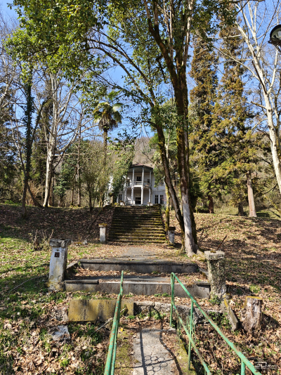 Обзор смартфона Xiaomi 15: горячая штучка