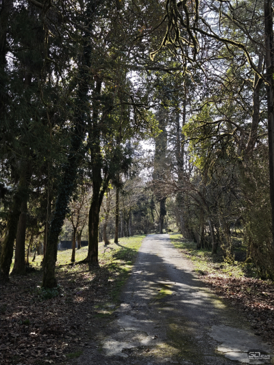 Обзор смартфона Xiaomi 15: горячая штучка